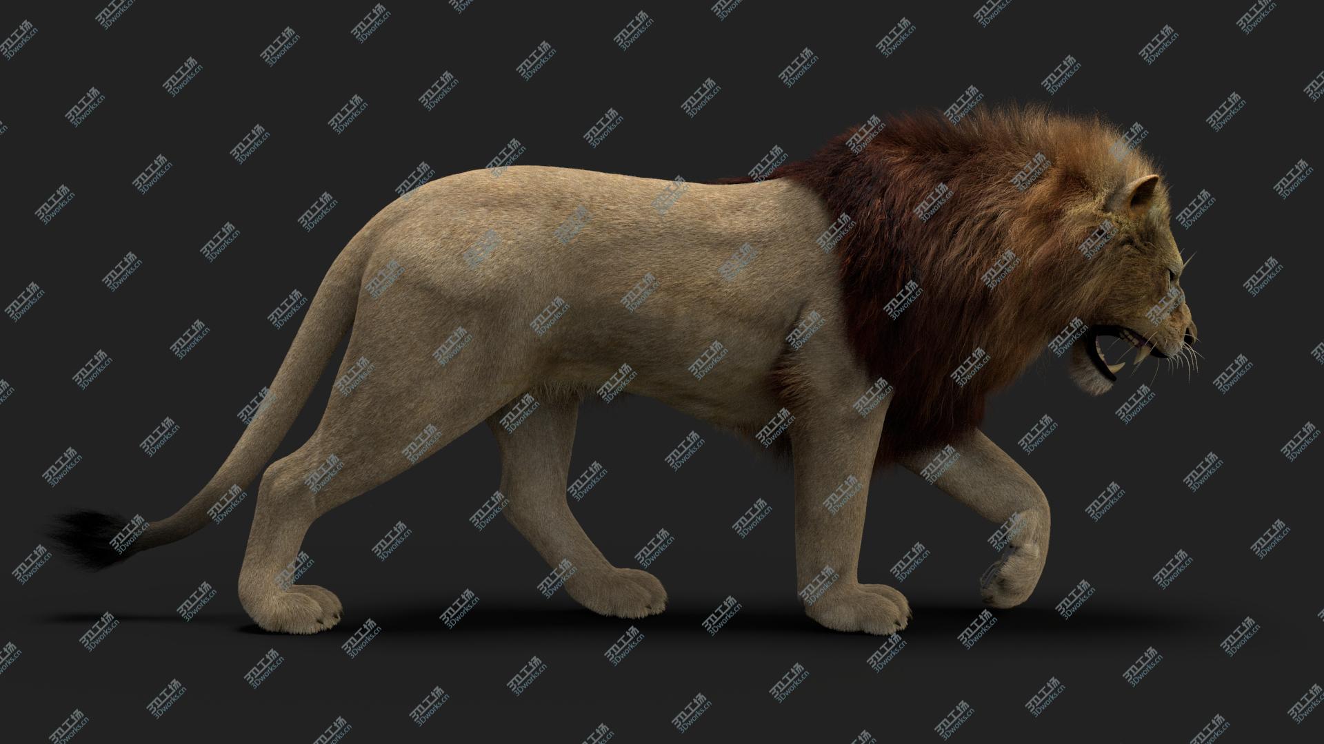 images/goods_img/2021040234/3D model Lion 3 (Fur) Rigged/5.jpg